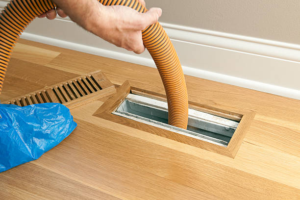 Best Professional Duct Cleaning Services  in Homer, IL