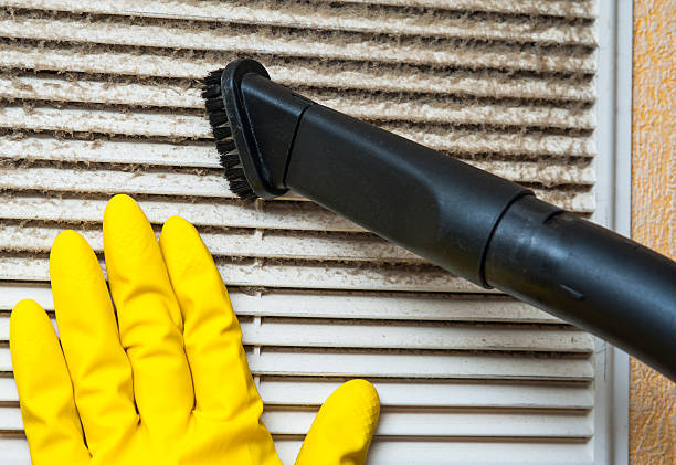 Best Ventilation Cleaning Services  in Homer, IL